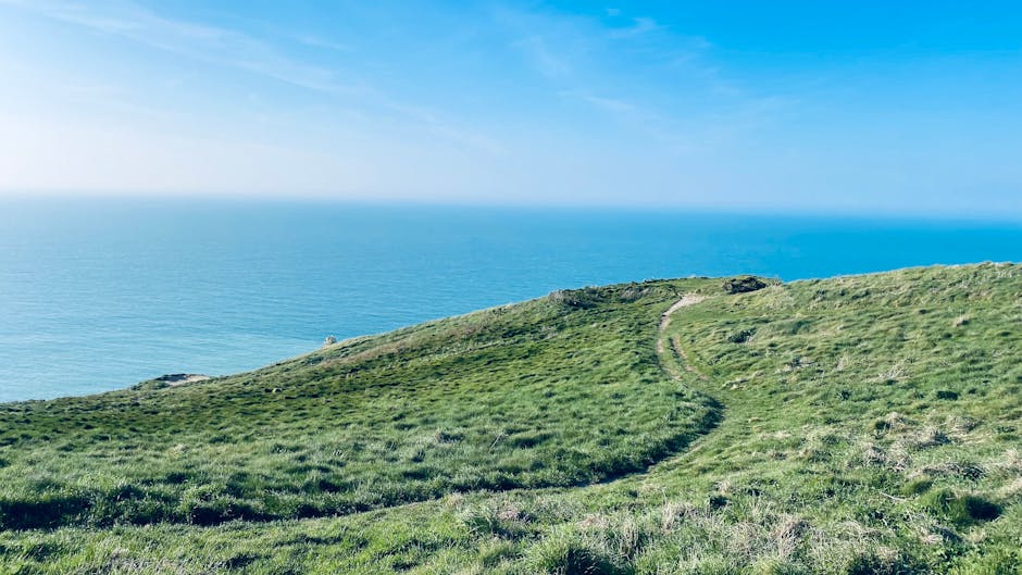 Breathtaking view of the Étretat cliffs with lush green grass and a serene ocean backdrop in Normandie, France