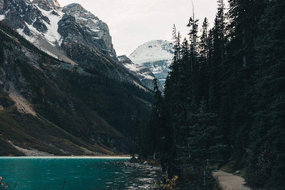 Calm waters of Lake Louise framed by towering mountains and lush forest in Alberta, Canada